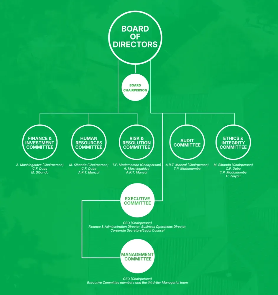 DPC governance structure diagram